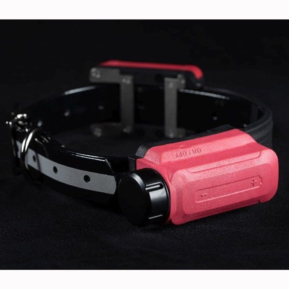 R10 -koiratutka sisäisellä antennilla, view: 2