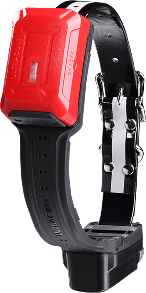 R10i koiratutka, view: 0