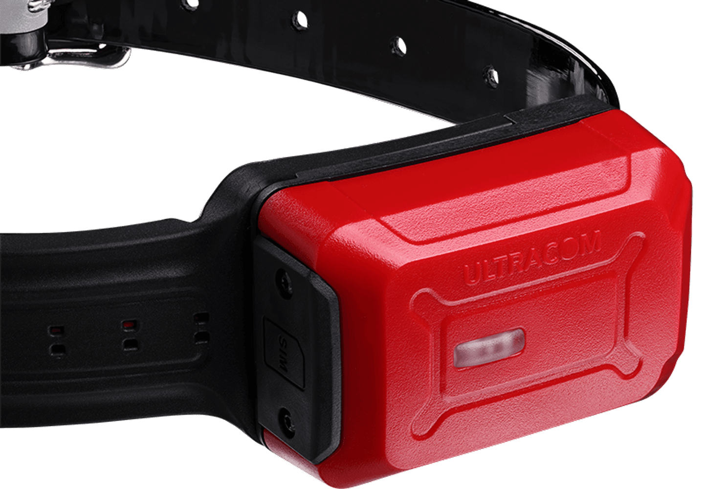 R10i koiratutka, view: 1