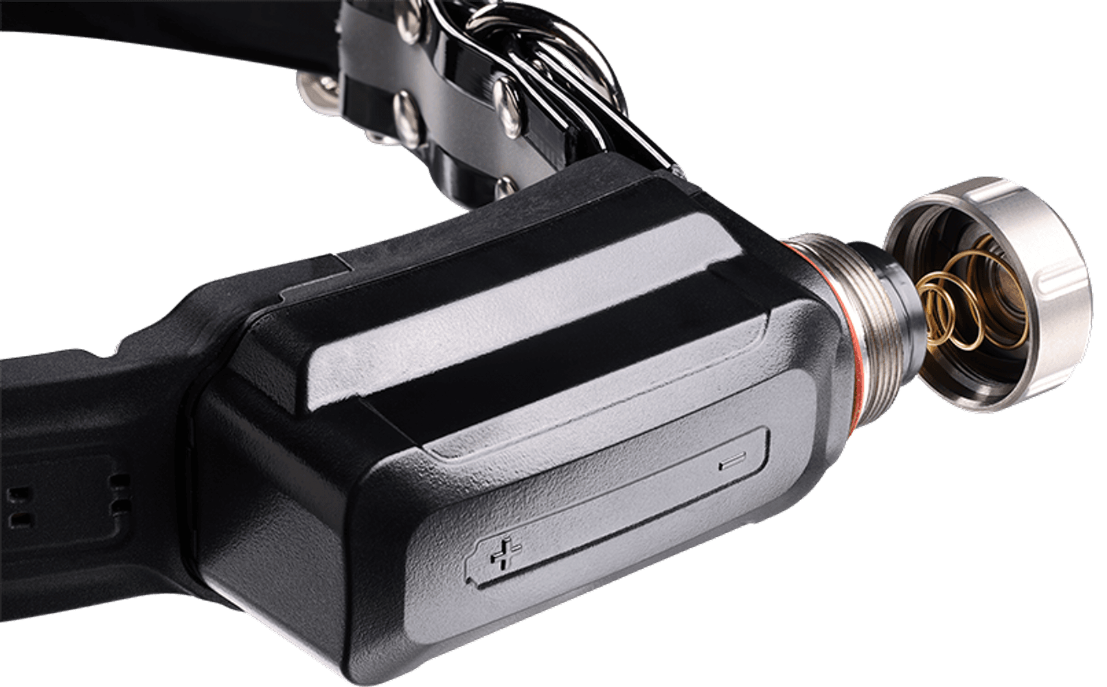 R10i koiratutka, view: 3