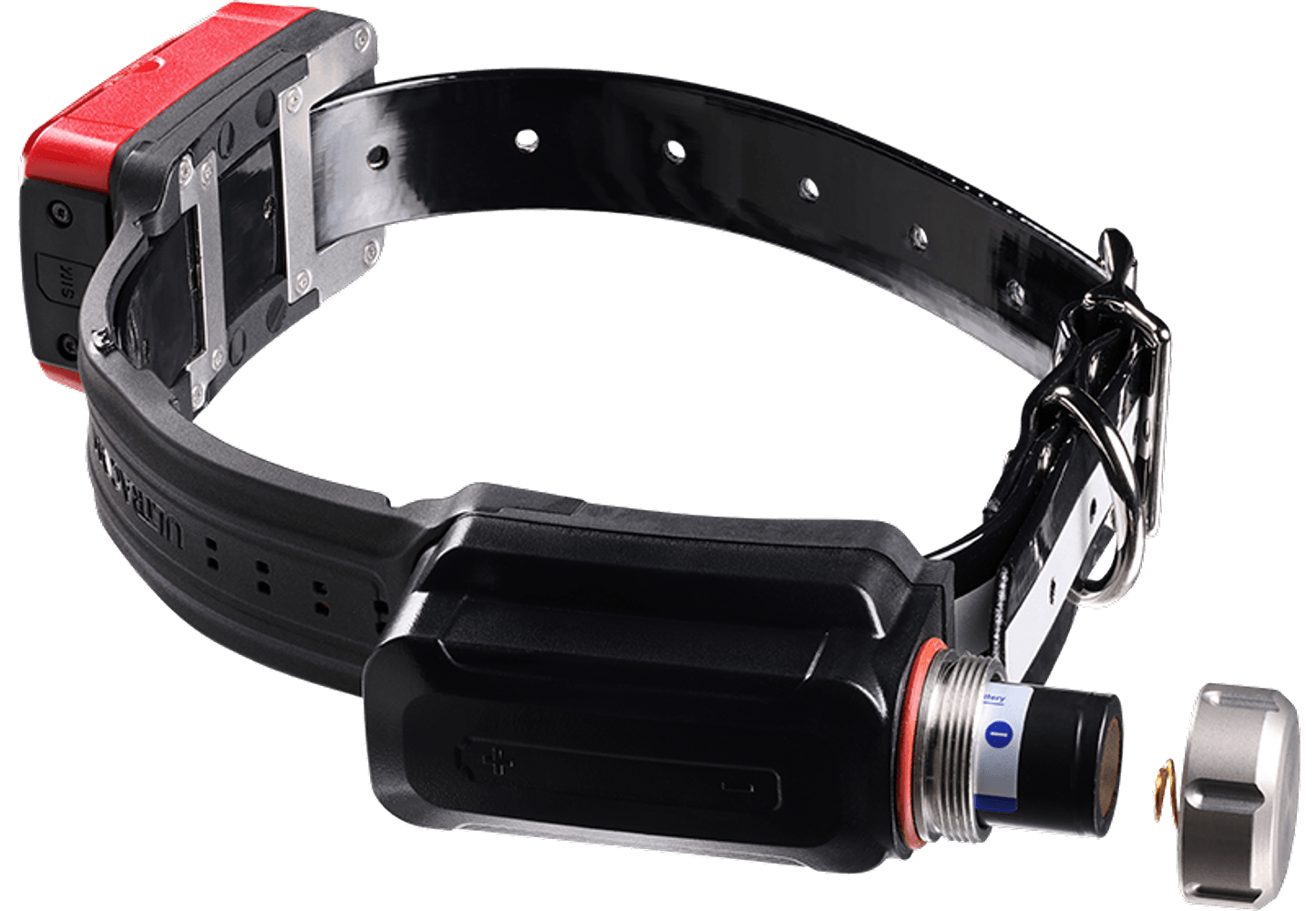 R10i koiratutka, view: 2