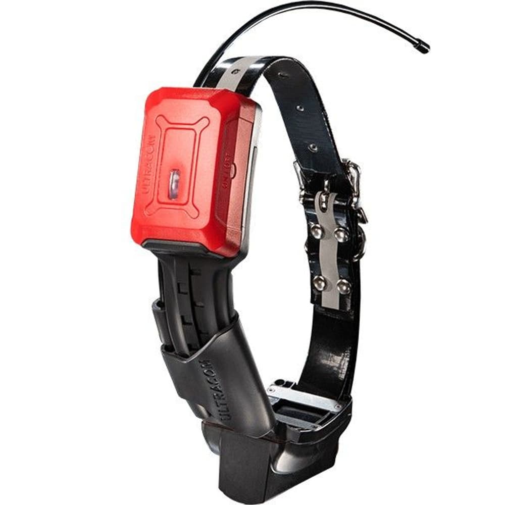 R10 Hybrid -koiratutka, view: 0