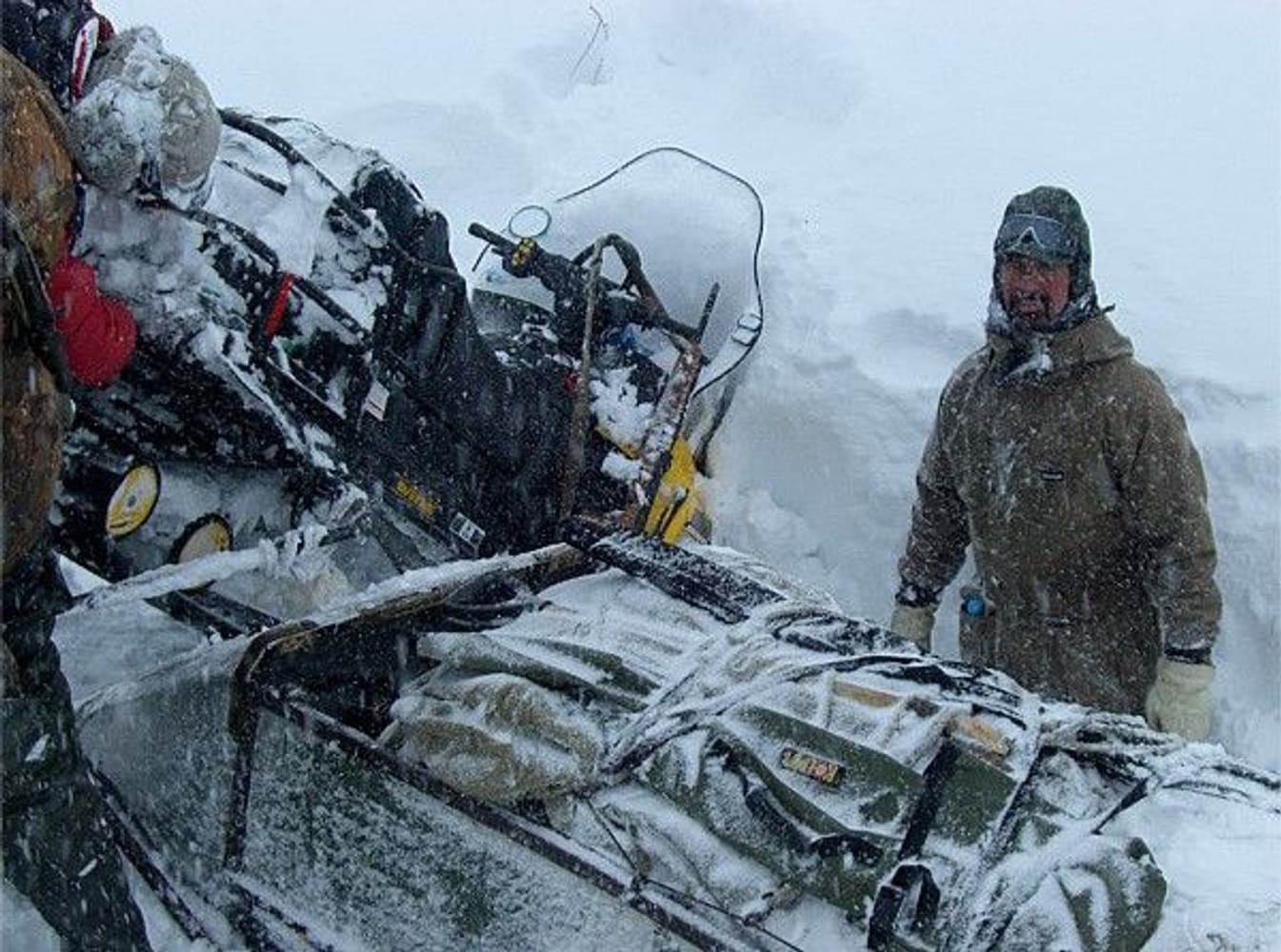 Wapiti Tussock, view: 11