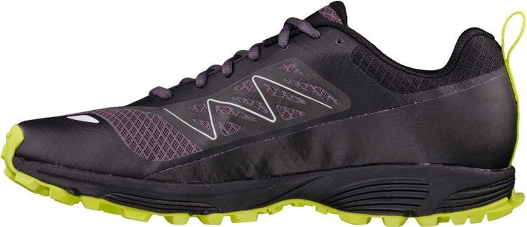 Anaconda Light Invisible Fit GTX Unisex Dark grey/Lime, view: 1