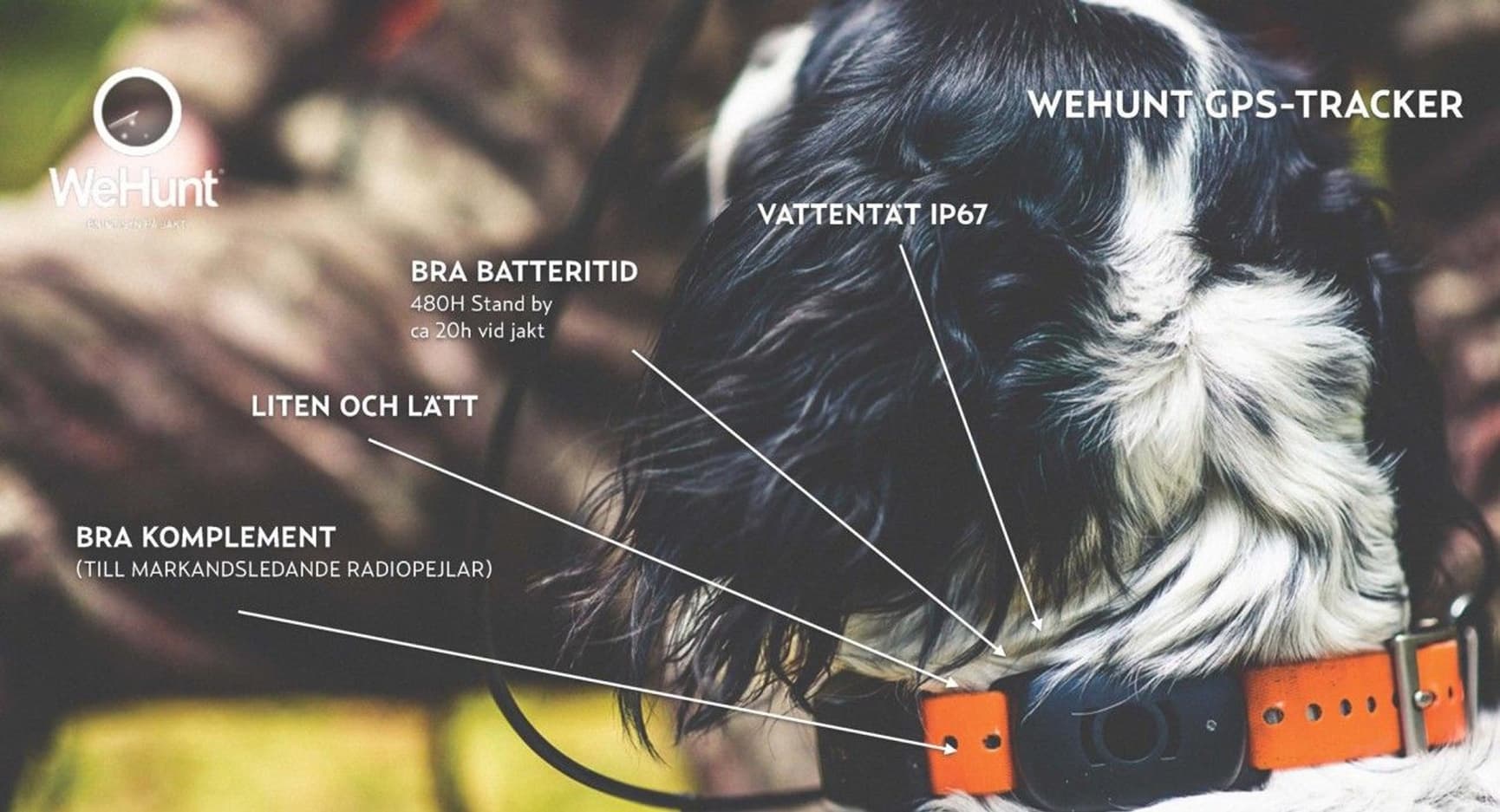 GPS Hundpejl, view: 2