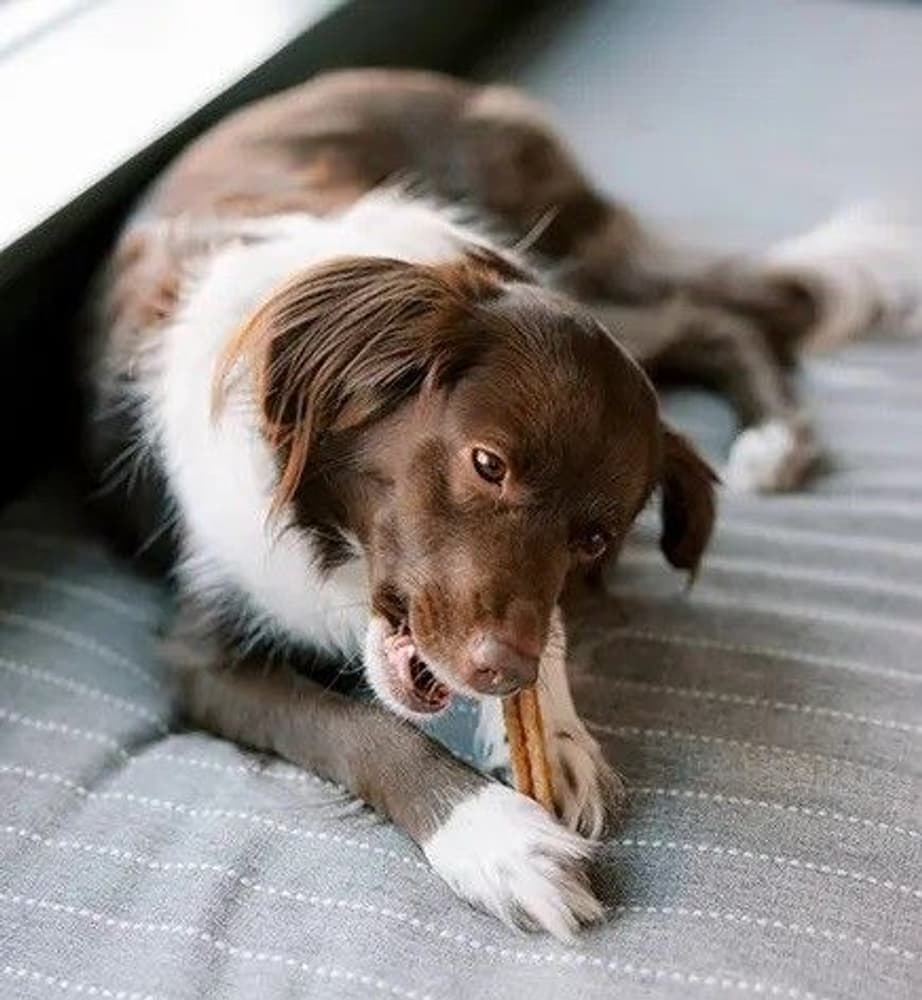 Stix L 7 kpl 420g, view: 2