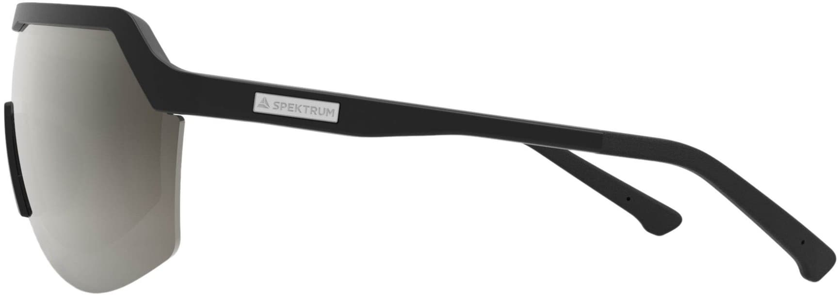 Blank Black Polarized aurinkolasit, view: 2