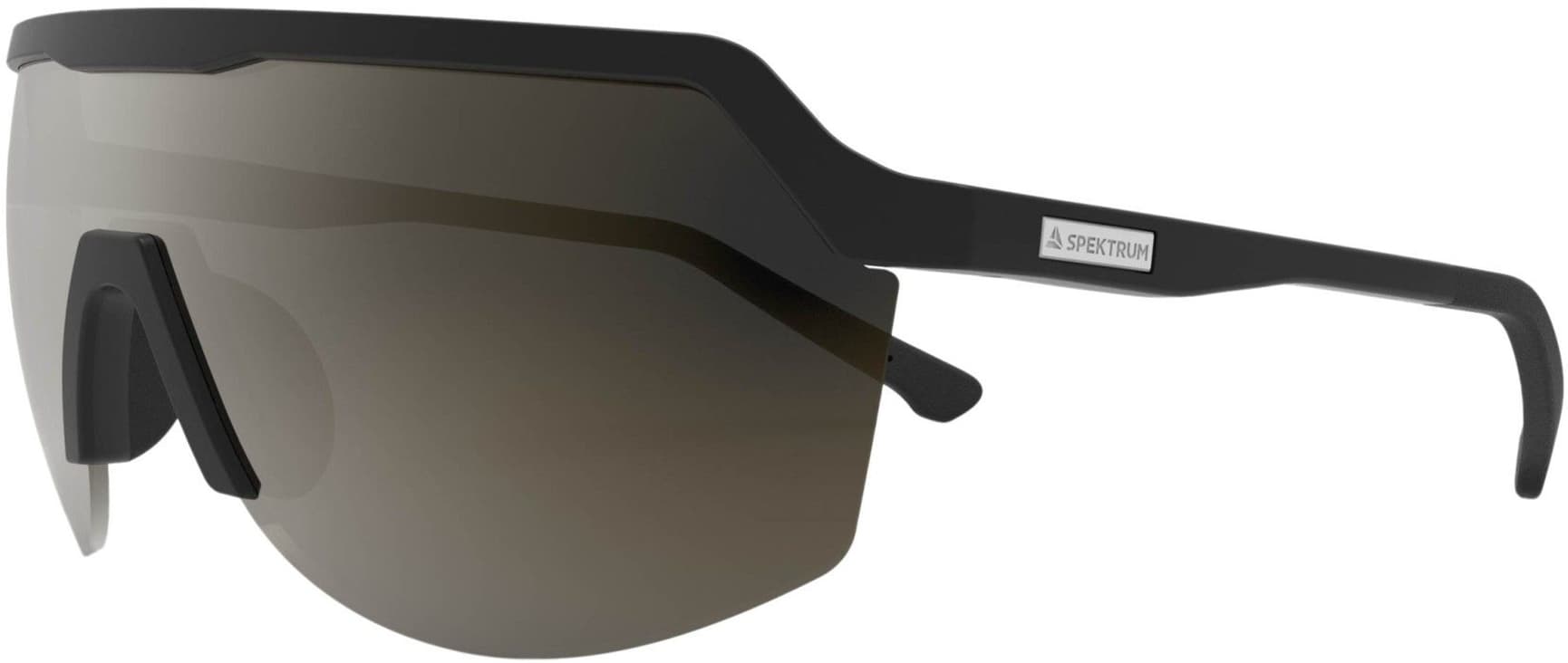 Blank Black Polarized aurinkolasit, view: 0