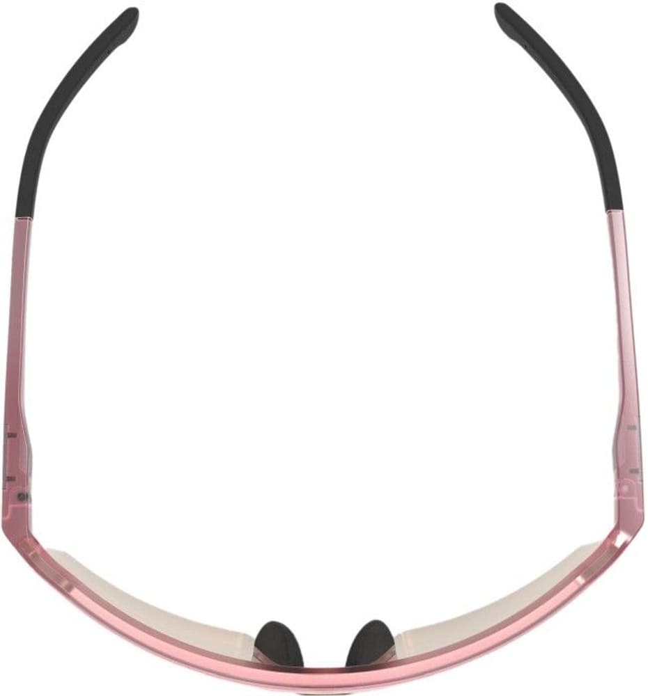 Klinger aurinkolasit, Mesa Rose, Gold Lens, view: 4