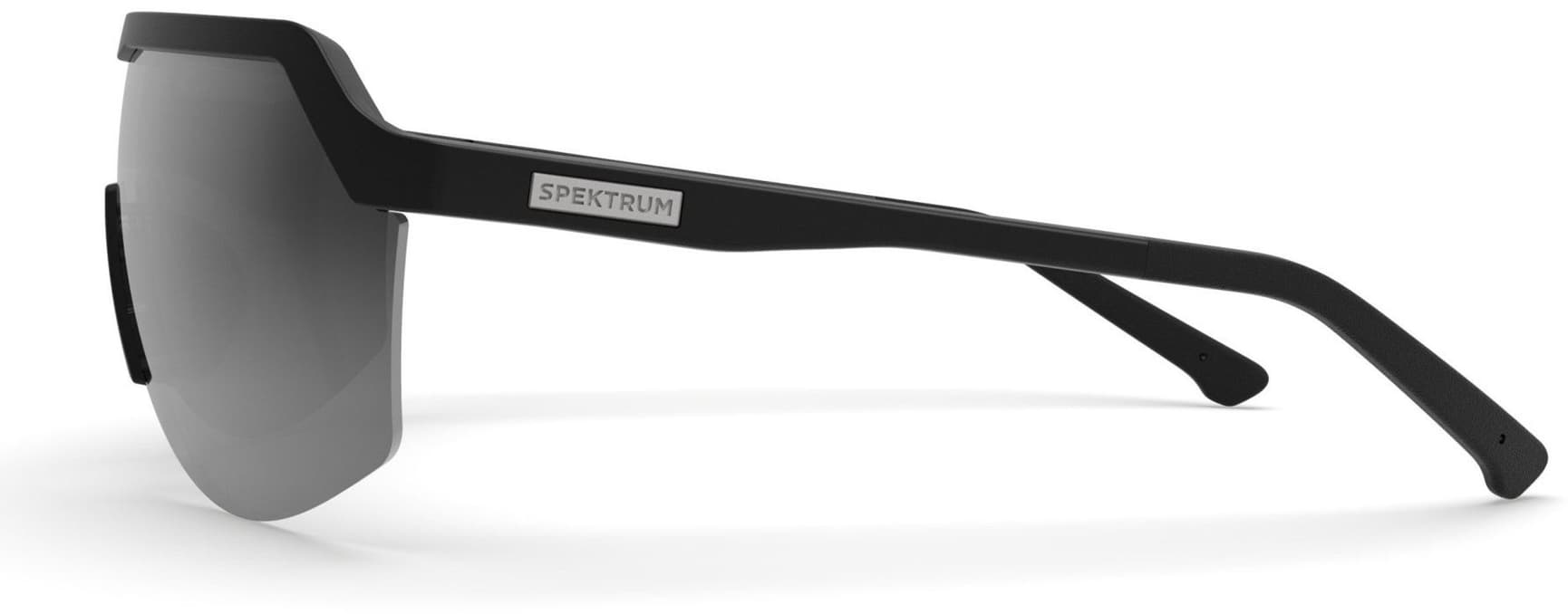 Blank aurinkolasit, Black with Grey Lens, view: 1