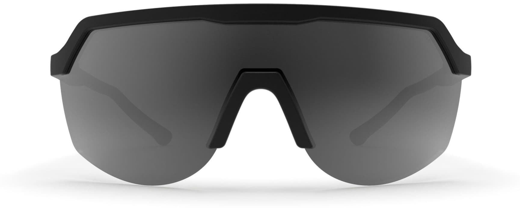 Blank aurinkolasit, Black with Grey Lens, view: 3