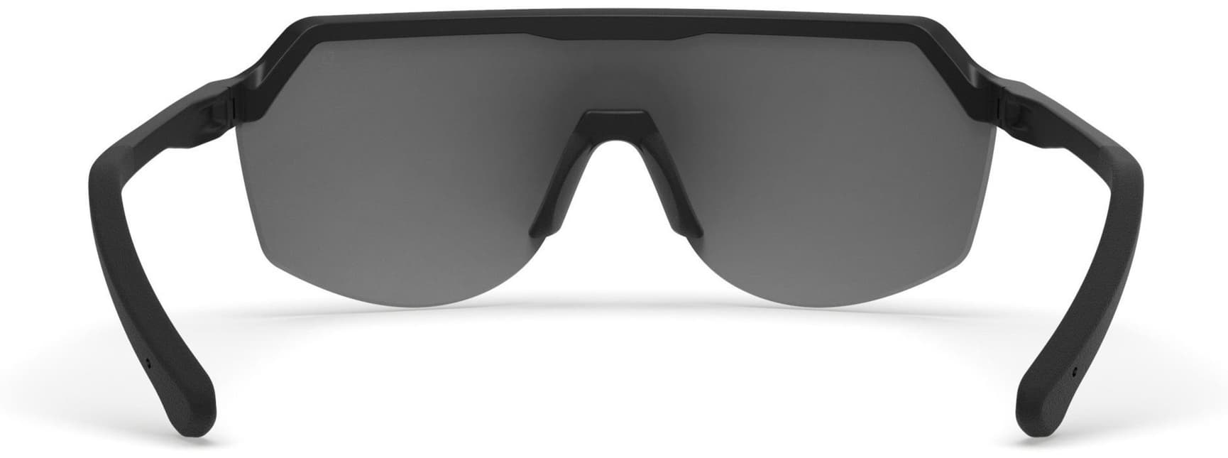Blank aurinkolasit, Black with Grey Lens, view: 2