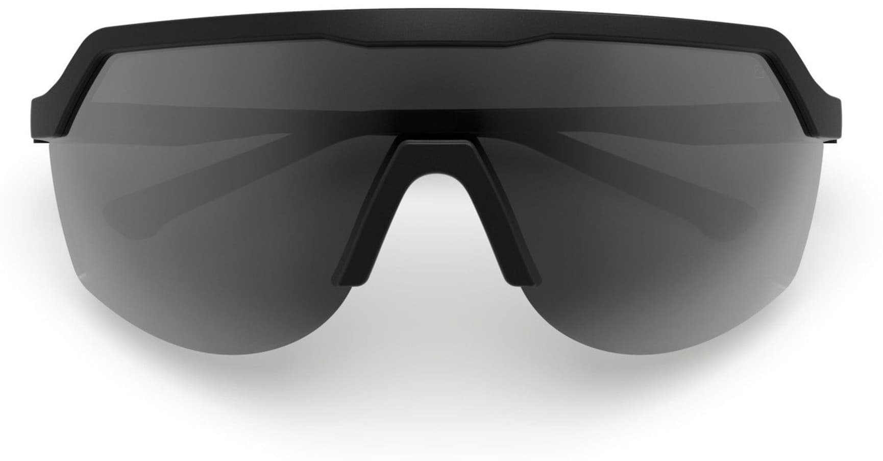 Blank aurinkolasit, Black with Grey Lens, view: 4