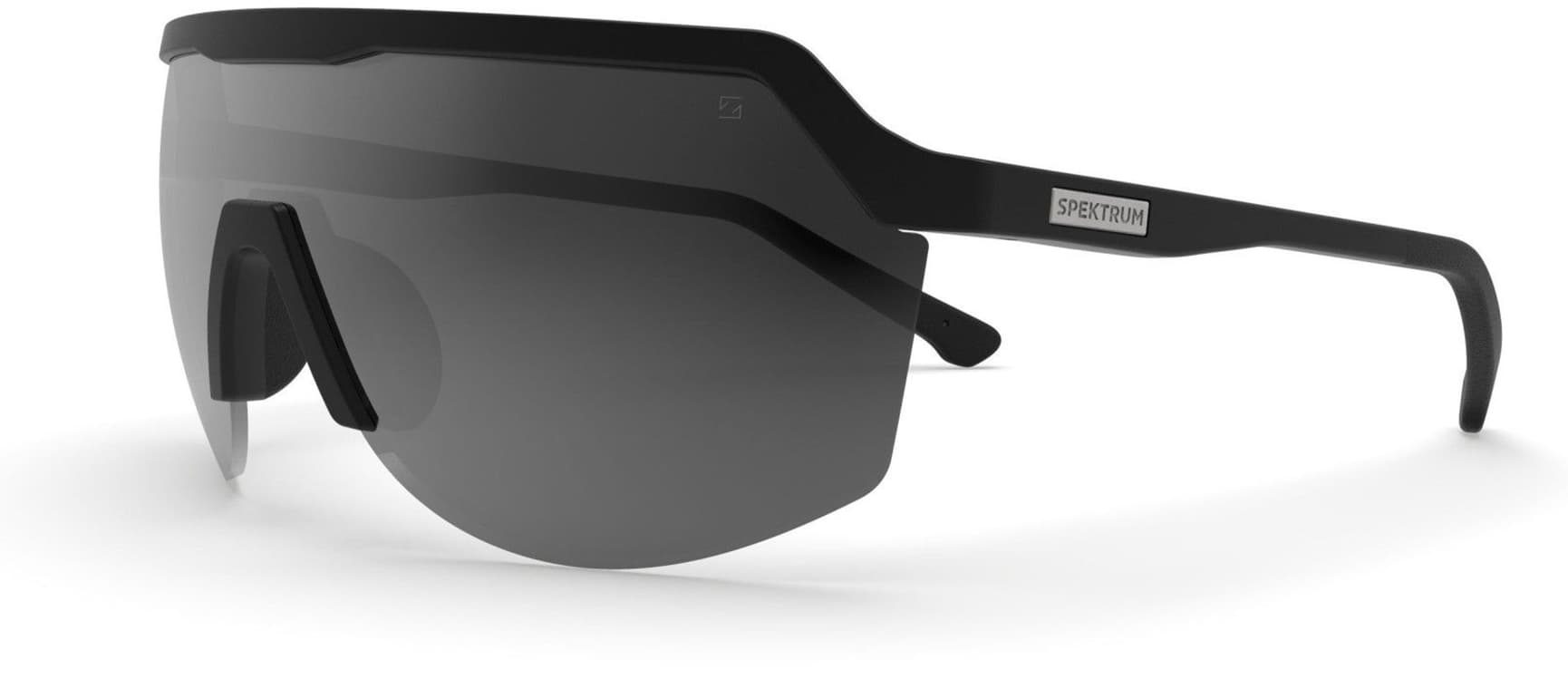 Blank aurinkolasit, Black with Grey Lens, view: 0