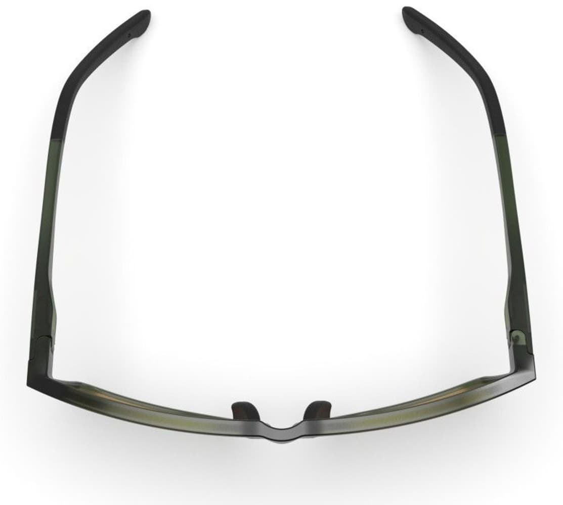 Kall aurinkolasit, Moss Green with Gold Lens, view: 5