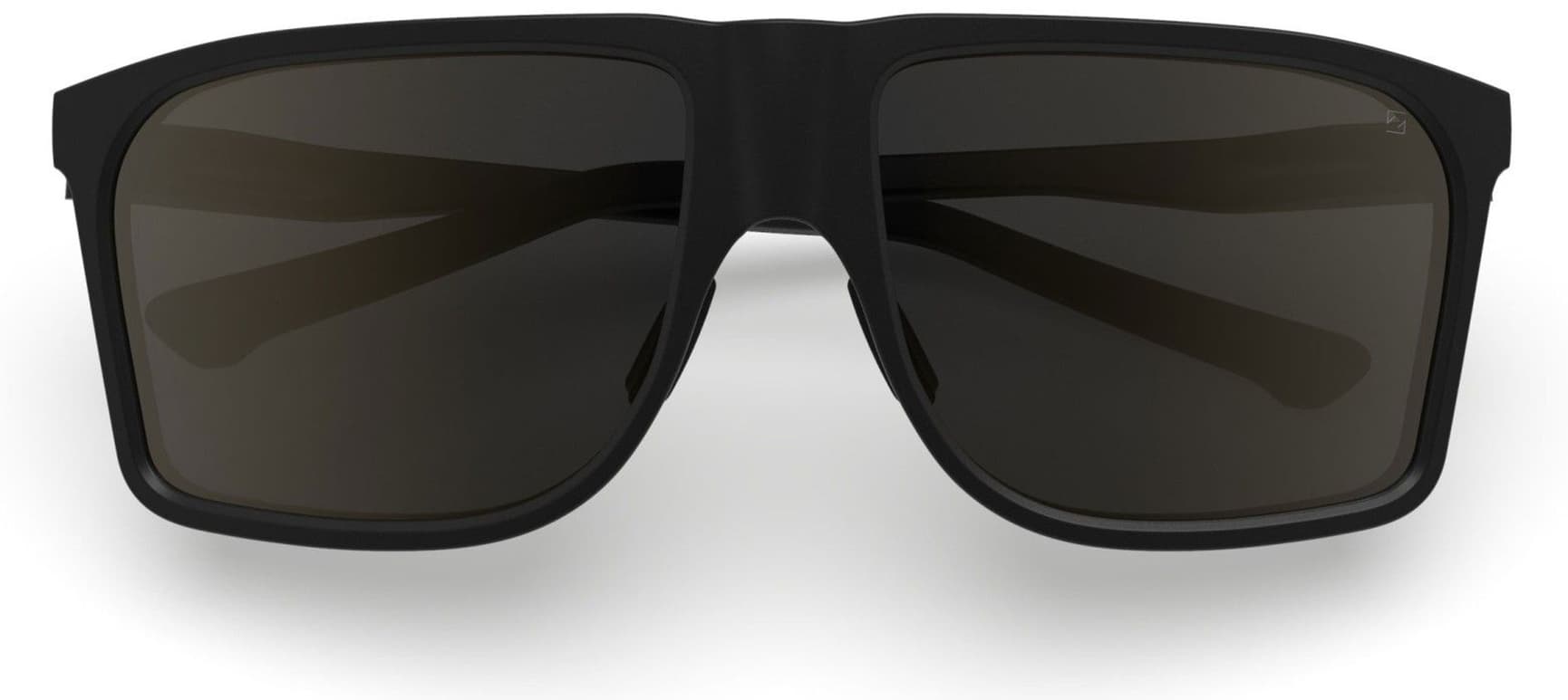 Kall aurinkolasit, Black with Polarized Brown Lens, view: 4