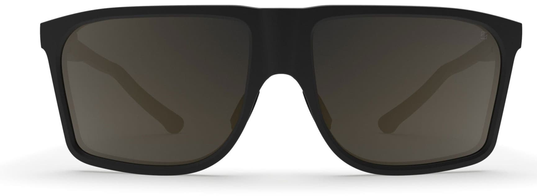 Kall aurinkolasit, Black with Polarized Brown Lens, view: 3