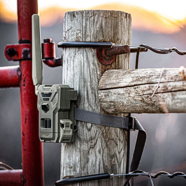 FLEX-M Twin-pack lähettävä riistakamera, 2 kpl, view: 6