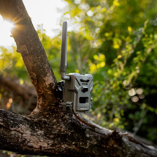 FLEX E-36 Twin-Pack lähettävä riistakamera, 2 kpl, view: 10