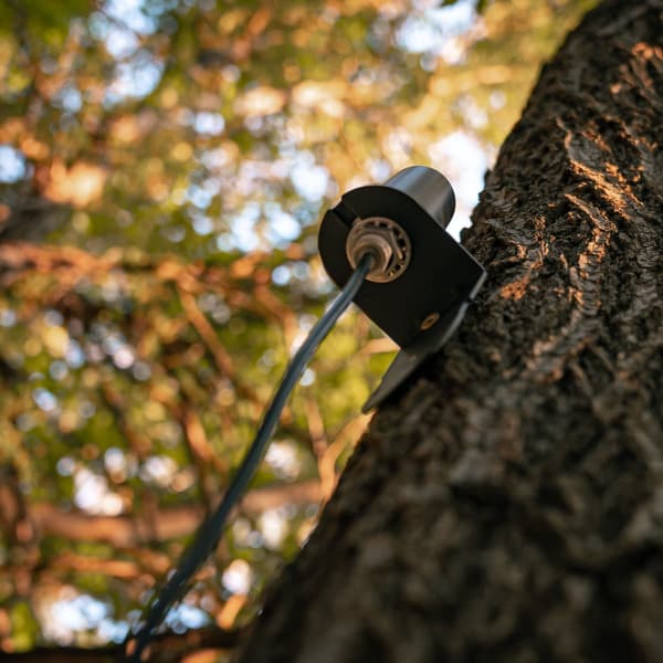 Long Range Antenna riistakameran antenni, view: 3