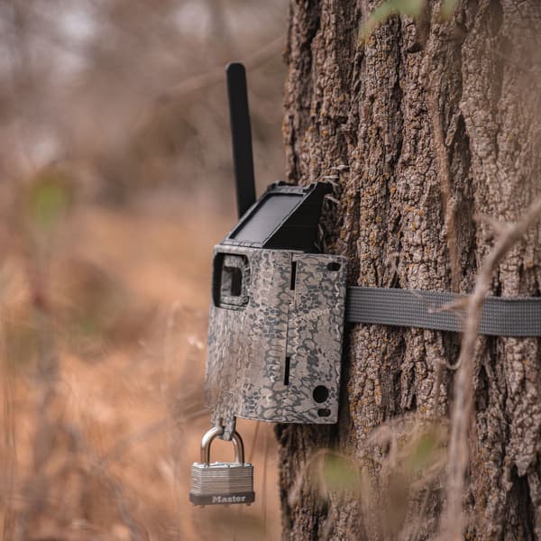 Security Box SB-300s riistakameran suojakotelo, view: 8