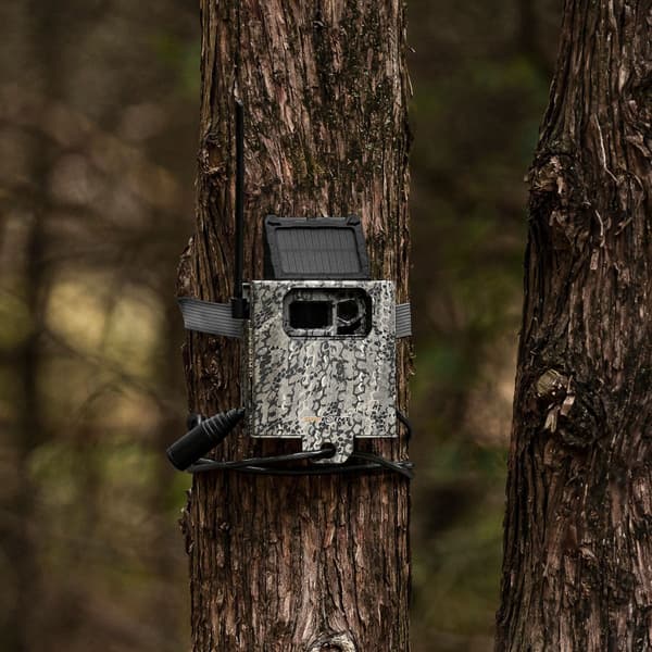 Security Box SB-300s riistakameran suojakotelo, view: 7