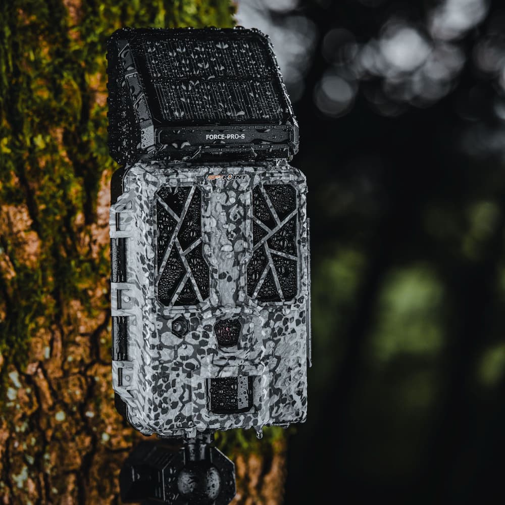 FORCE-PRO-S riistakamera aurinkopaneelilla, view: 12