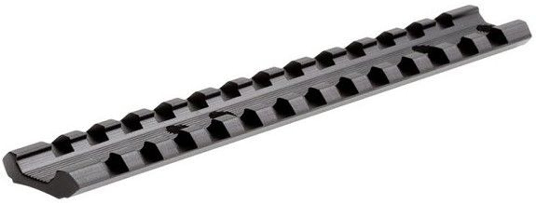 -tähtäinkisko (Ruger 10/22), view: 0