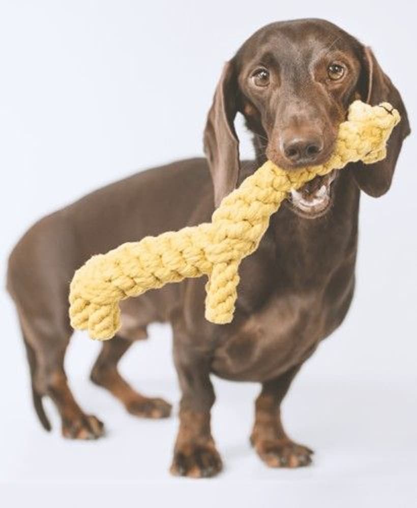 Greta koiran lelu, view: 1