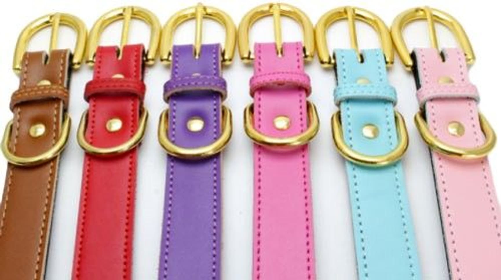 koiran kaulapanta, musta, view: 1