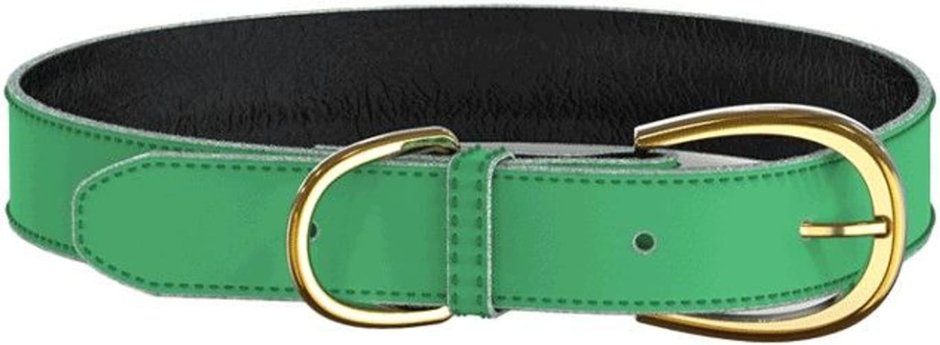 koiran kaulapanta, vihreä, view: 0