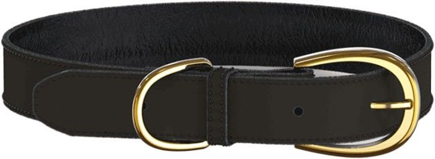 koiran kaulapanta, musta, view: 0