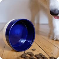 Käka koirankuppi, 2,5 l kermanvärinen/sininen - view: 1