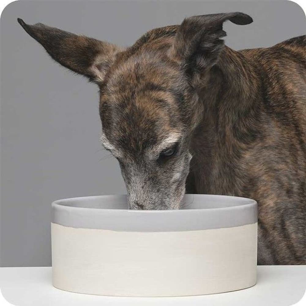 Käka koirankuppi, 2,5 l beige/harmaa, view: 1