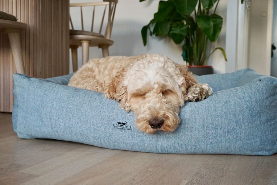 Mysig koiran peti, M, harmaa, view: 6