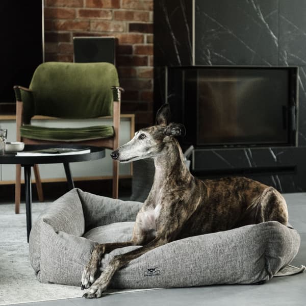 Mysig koiran peti, M, tummanvihreä, view: 5