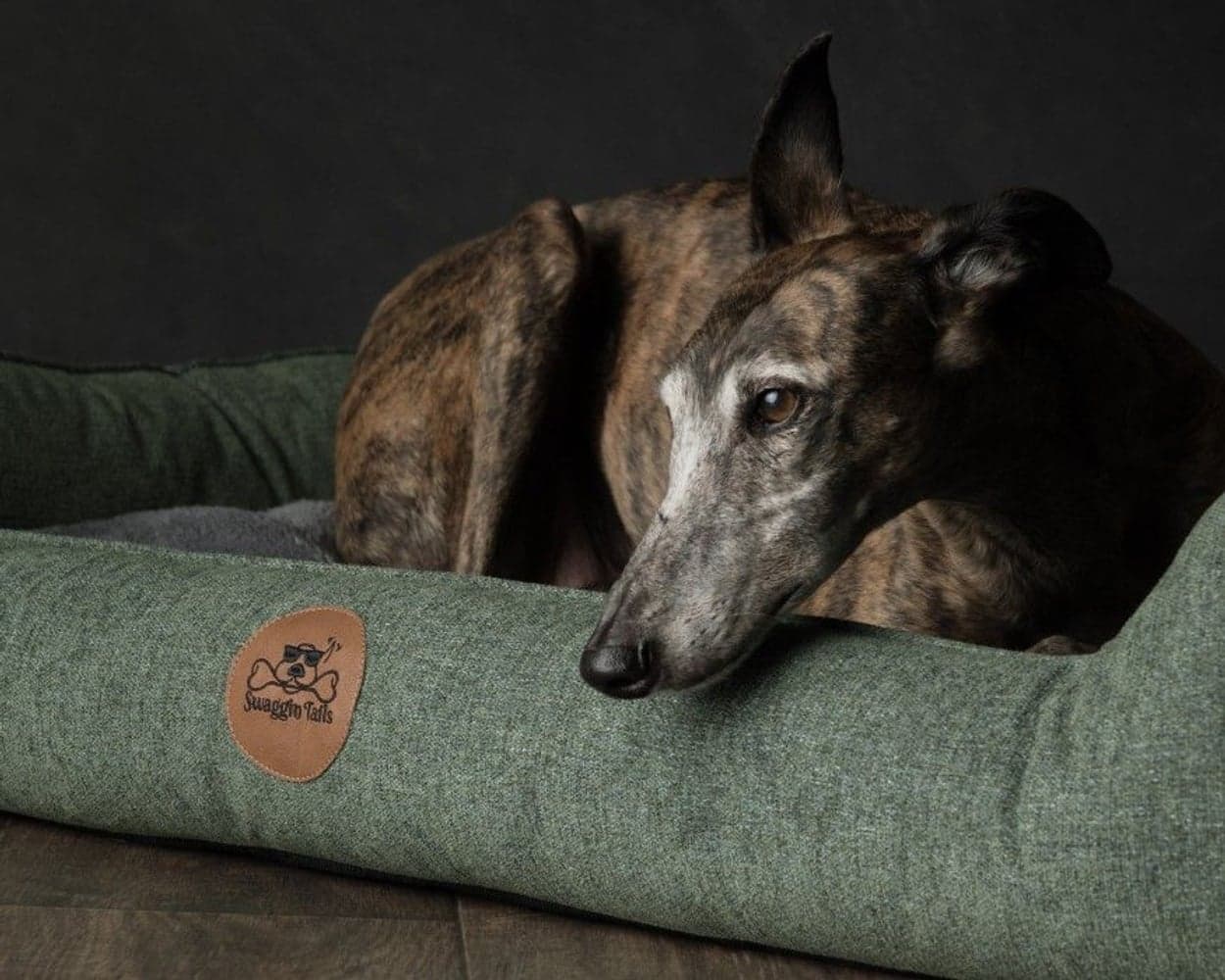 koiranpeti Memory Foam -vaahdolla L, vihreä, view: 2