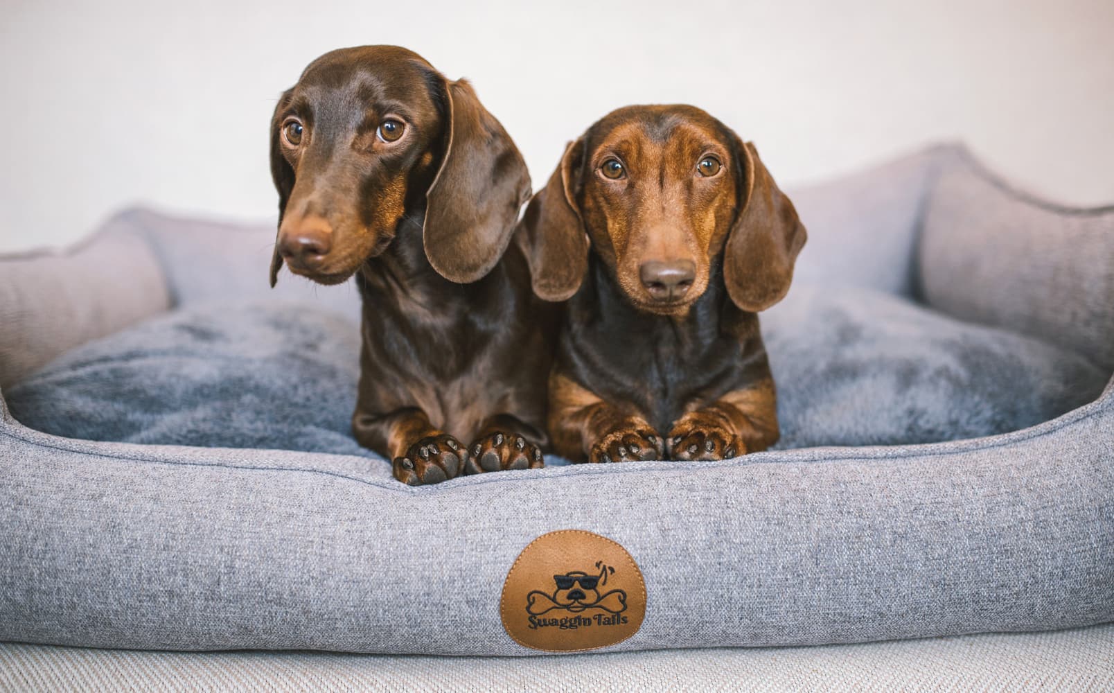 koiranpeti Memory Foam -vaahdolla M, harmaa, view: 2