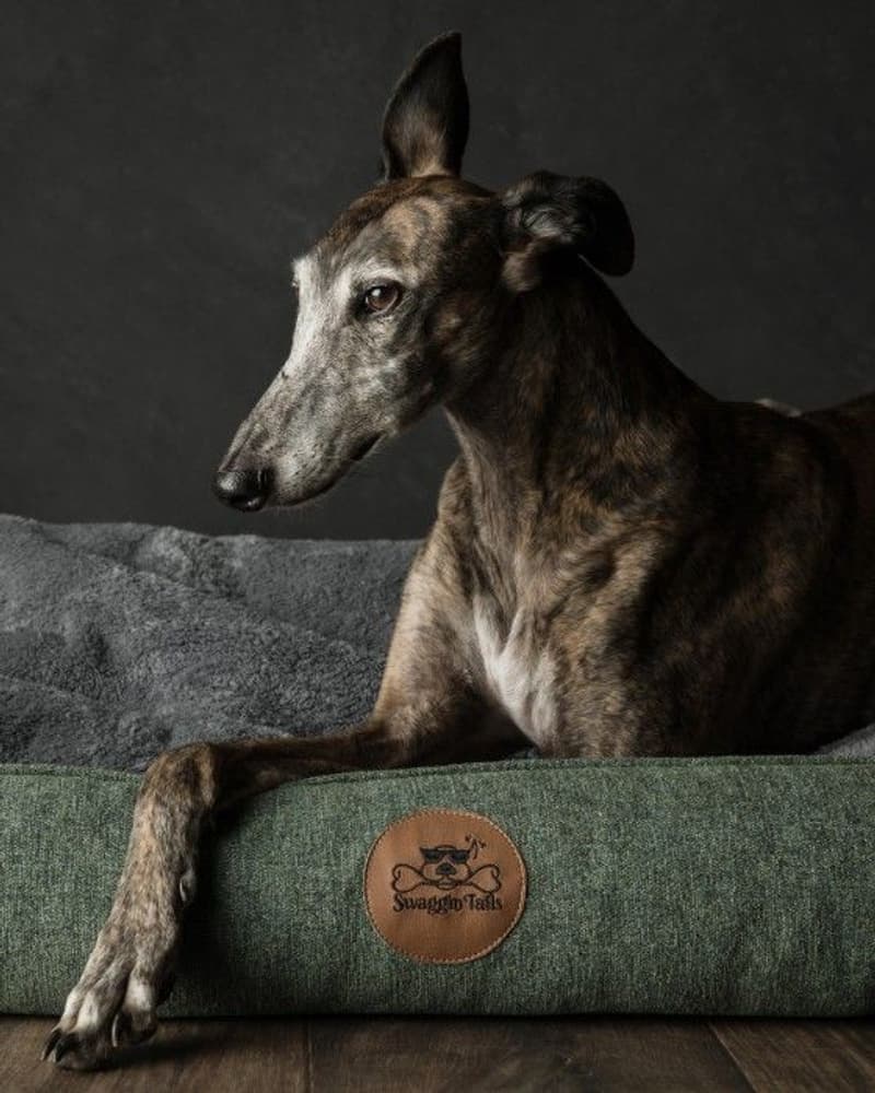 koiranpeti Memory Foam -vaahdolla M, vihreä, view: 3