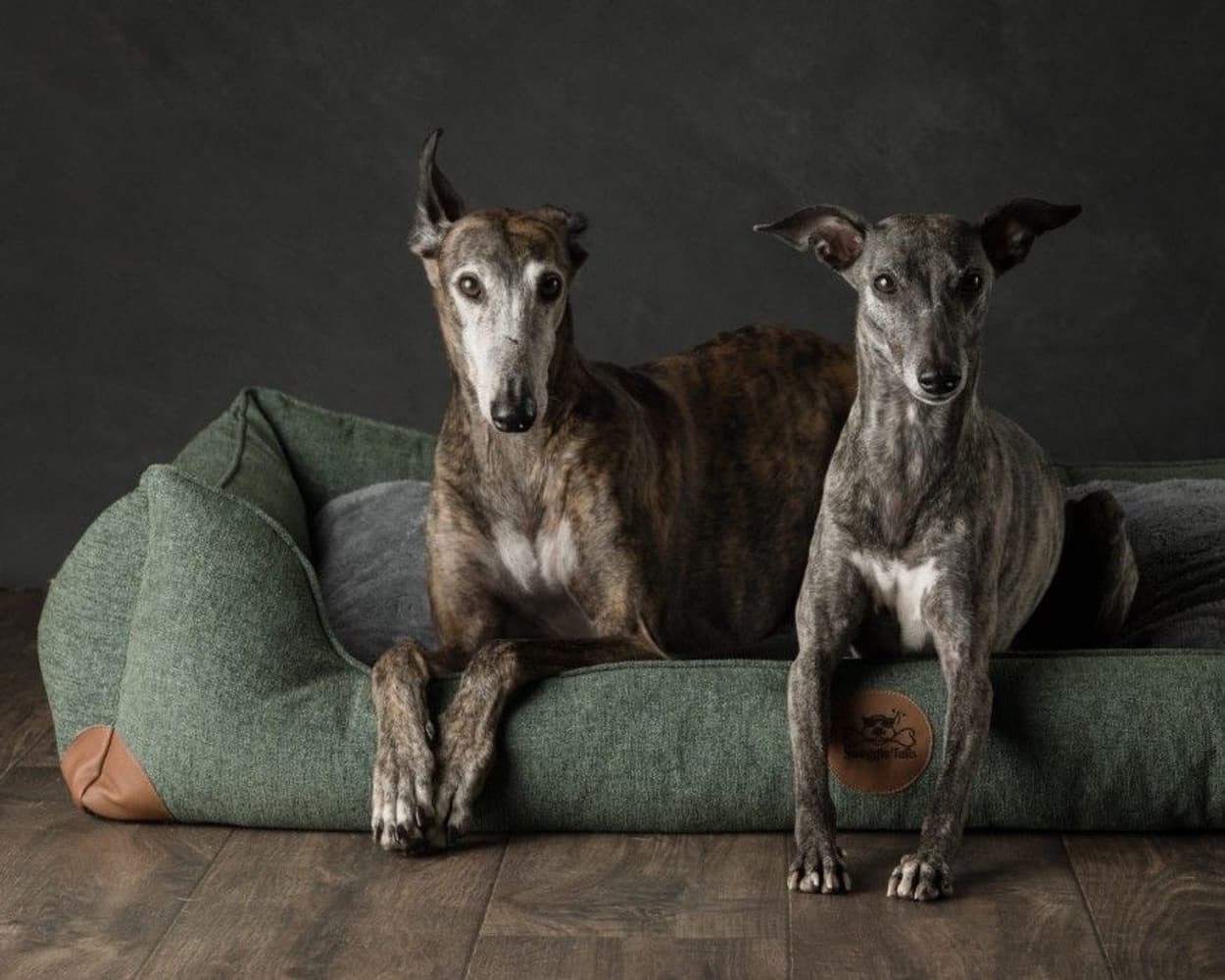 koiranpeti Memory Foam -vaahdolla XL, view: 3