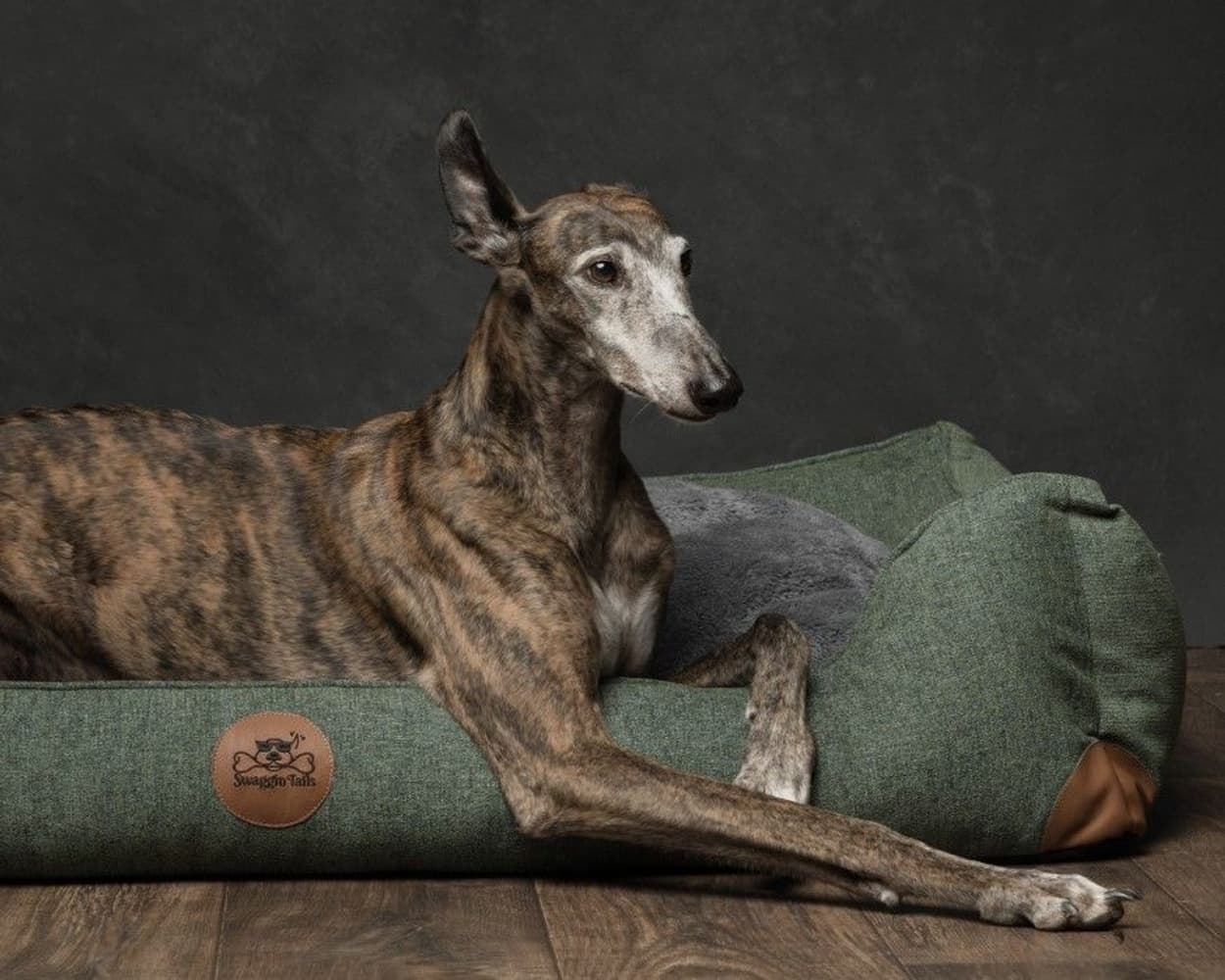 koiranpeti Memory Foam -vaahdolla XL, view: 2