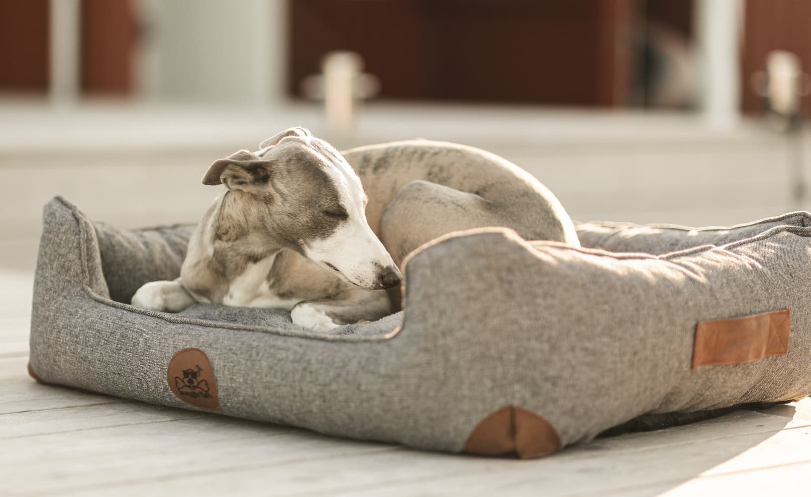 koiranpeti Memory Foam -vaahdolla XL, view: 6