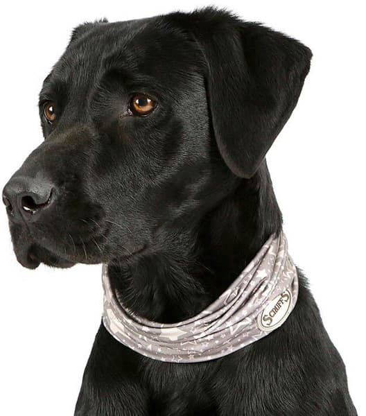 Insect Shield -tuubihuivi M, view: 0