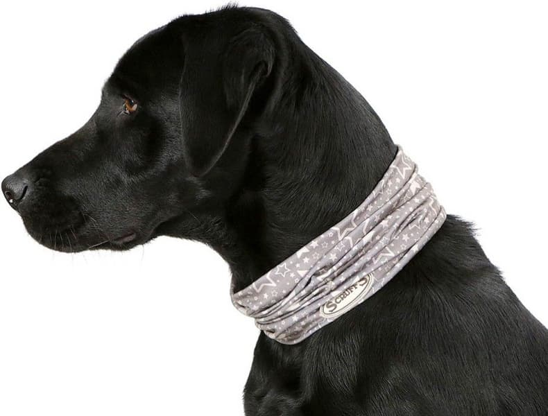 Insect Shield -tuubihuivi M, view: 3