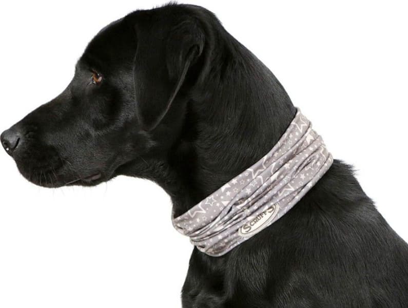 insect shield doggy snood -tuubihuivi, view: 3