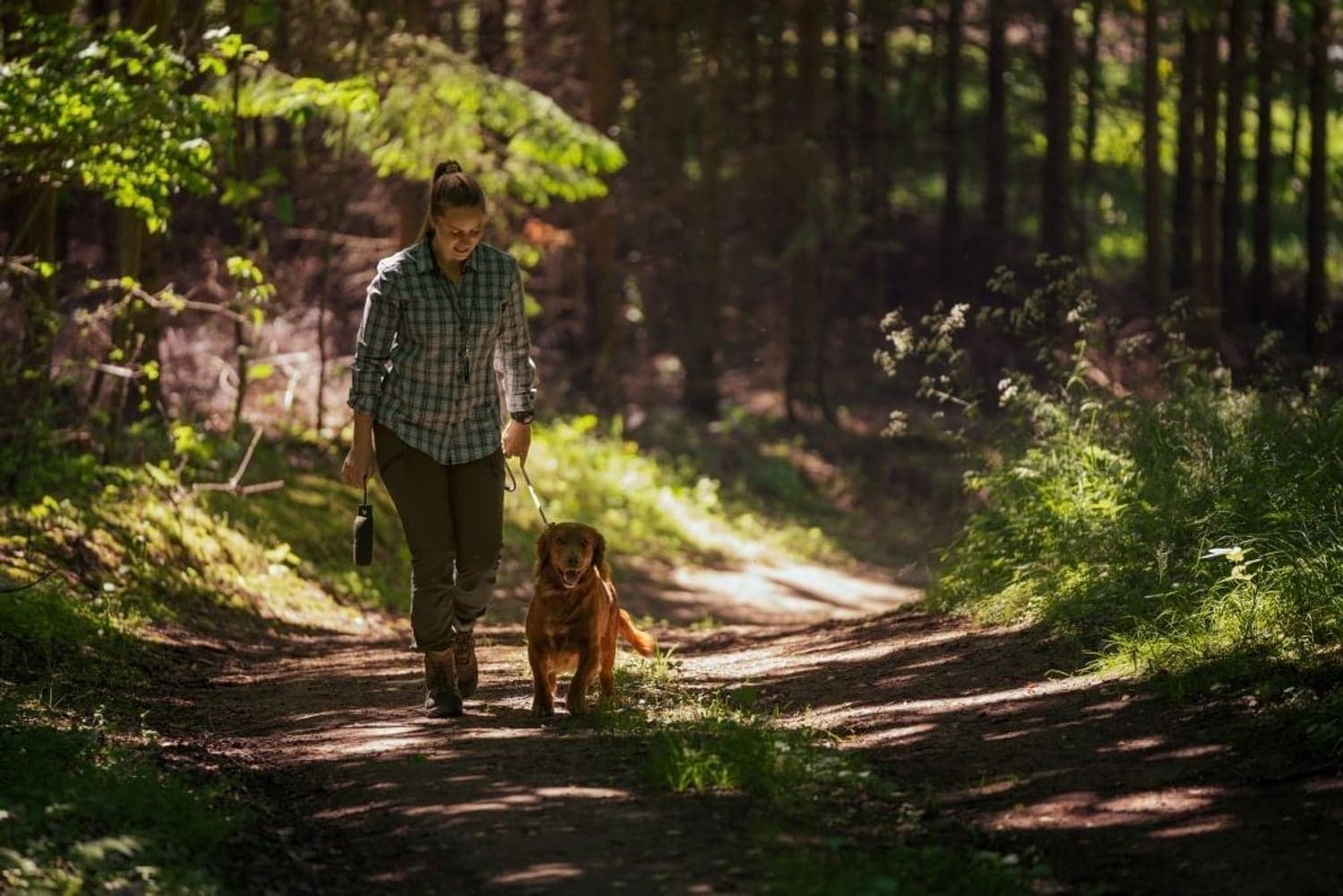 Larch Stretch Trouser Women Pine Green, view: 7
