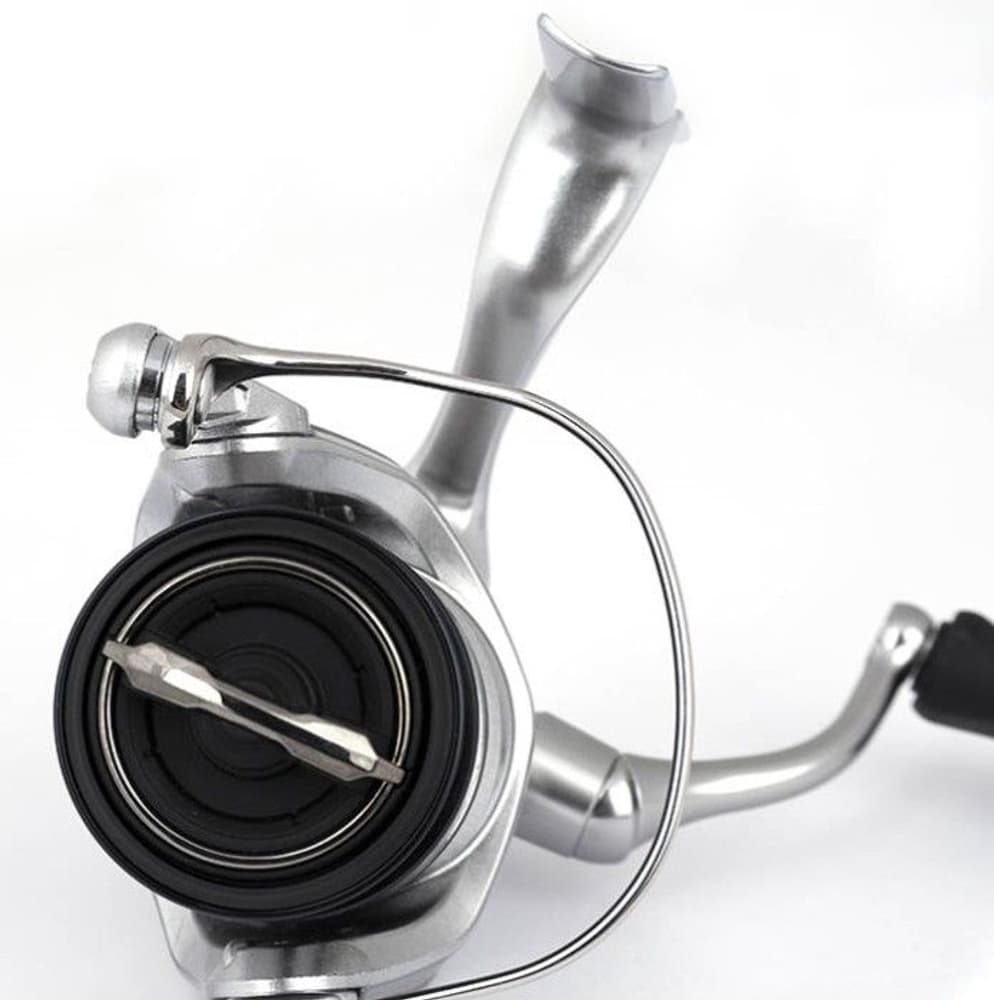 Stradic FL avokela, view: 1