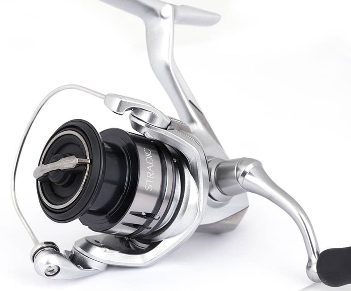 Stradic FL avokela, view: 3