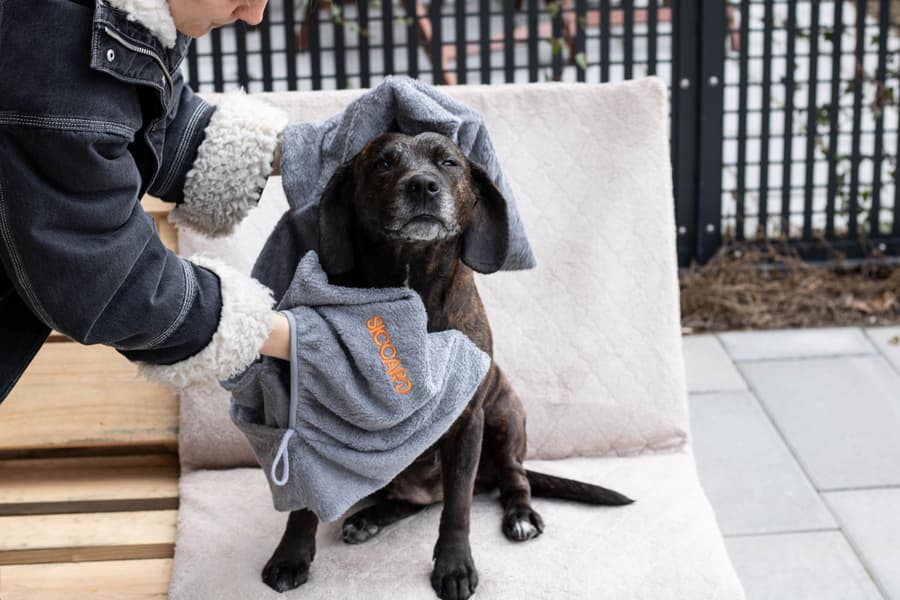 EasyDry koiran pyyhe, vaaleanharmaa, view: 5