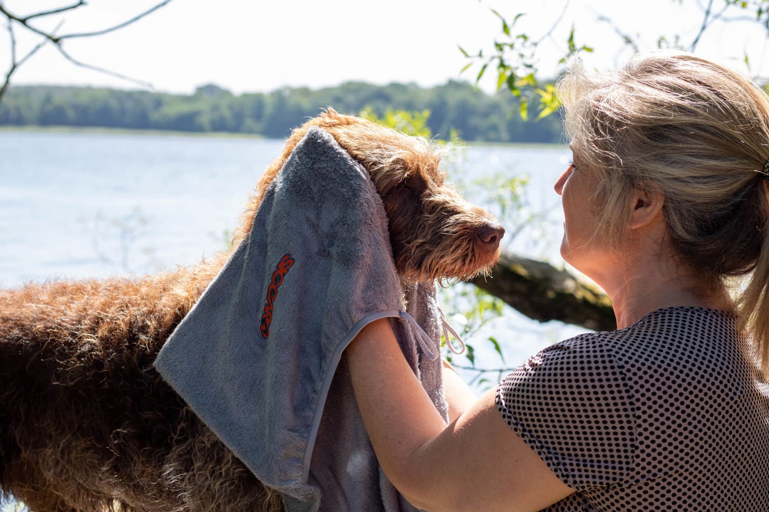 EasyDry koiran pyyhe, vaaleanharmaa, view: 3